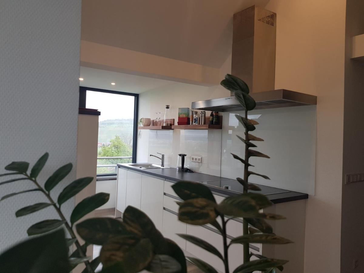 Apartments Metzingen Panoramablick Exterior foto